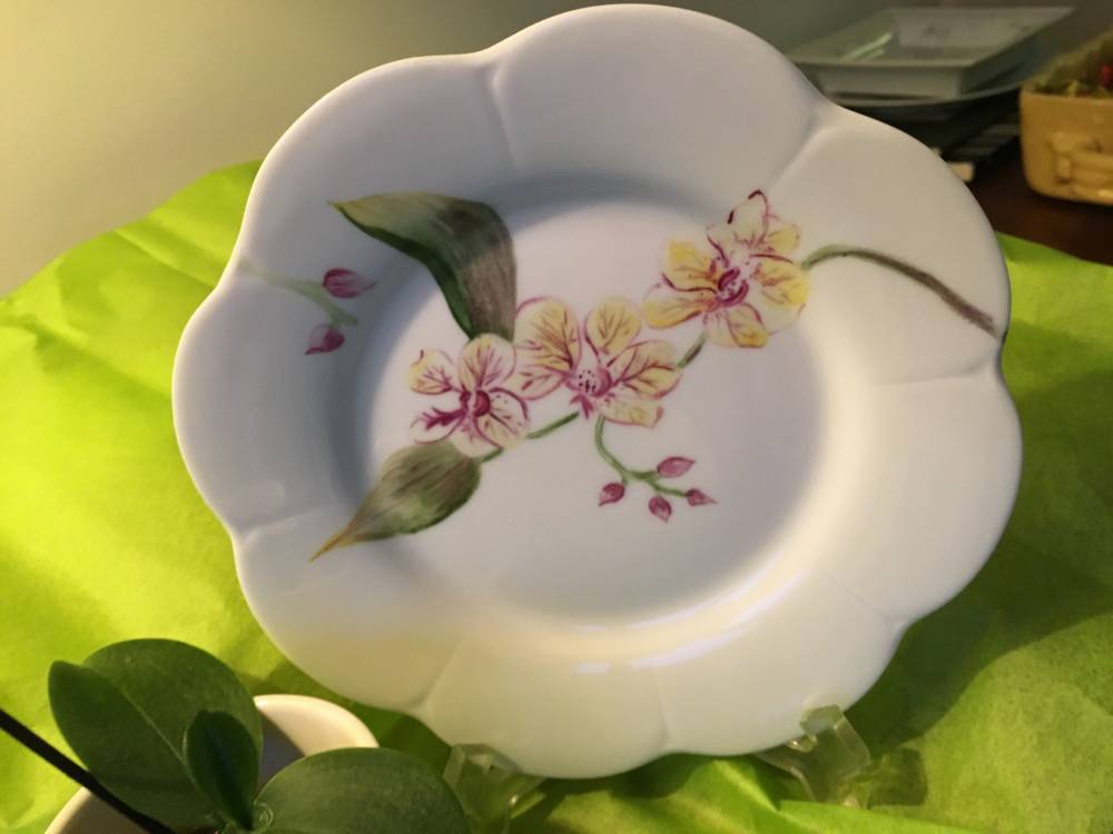 orchidée