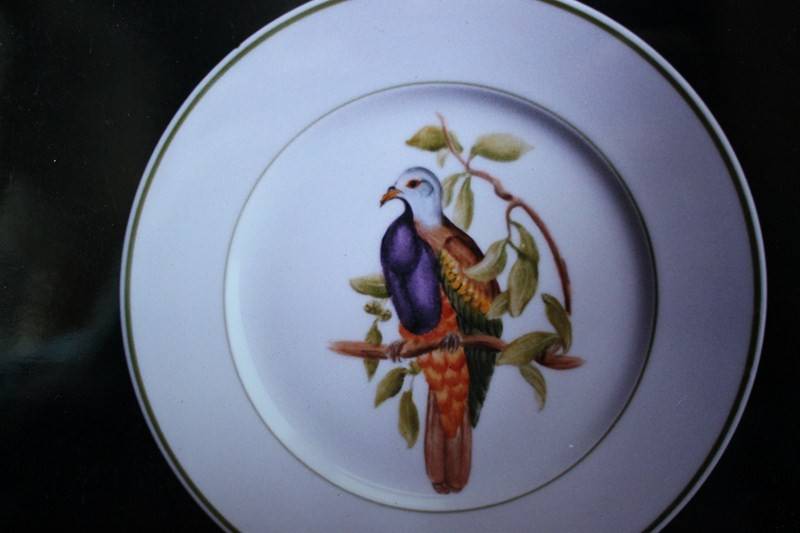 Les_oiseaux__14_
