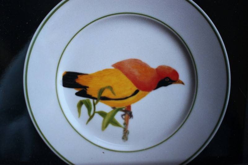 Les_oiseaux__17_