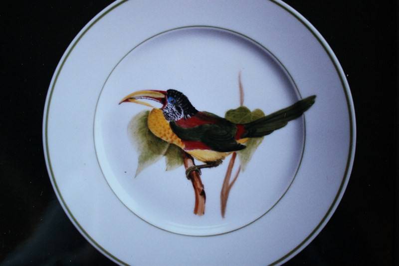 Les_oiseaux__1_