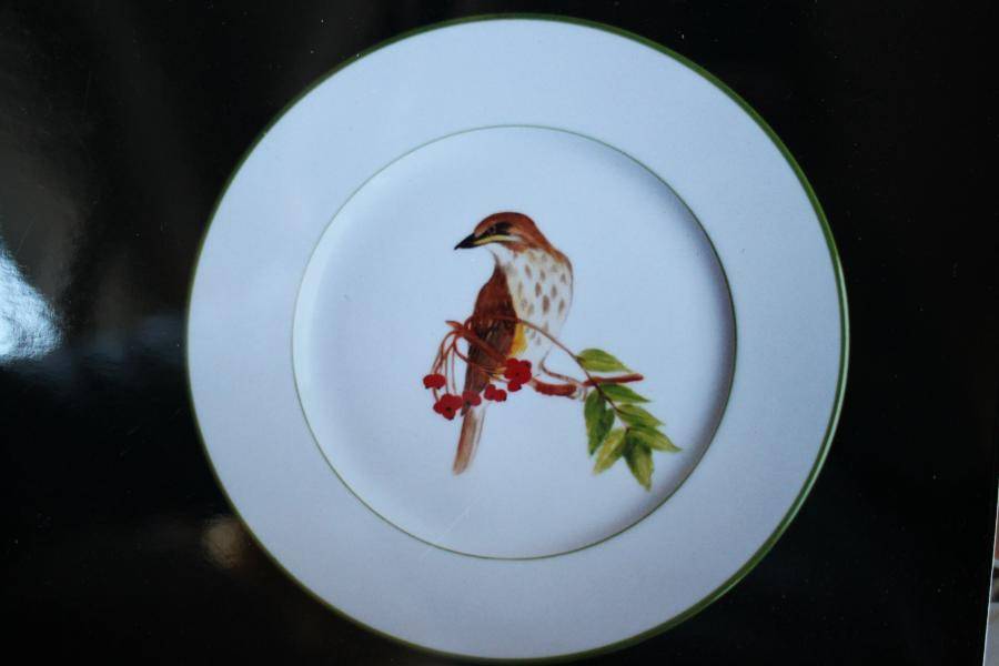 Les_oiseaux__3_