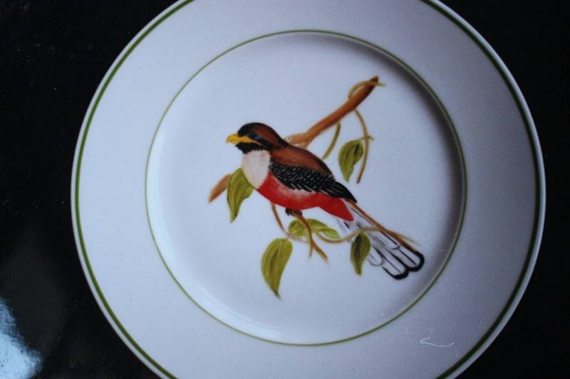 Les_oiseaux__4_