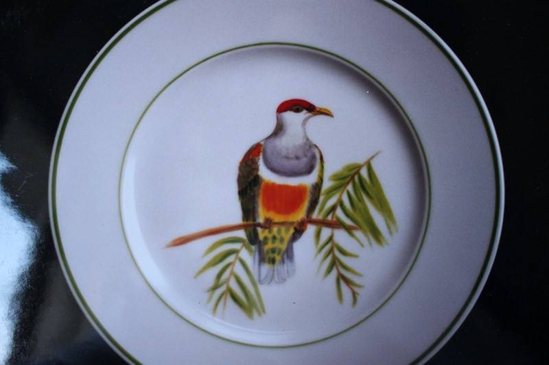 Les_oiseaux__5_